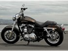 2013 Harley-Davidson Harley Davidson XL 1200C Sportster Custom 110th Anniversary Edition